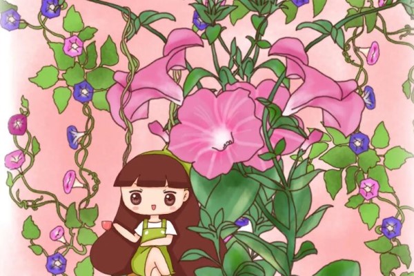當奶奶愛上養(yǎng)花，天臺種了一萬盆，太瘋狂了！