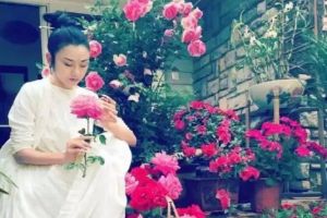 愛養(yǎng)花的女人，定是靈魂有香，精神有光！