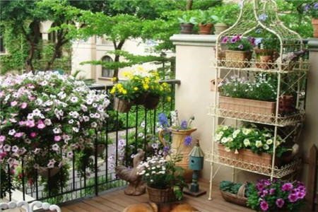 陽臺變身花園