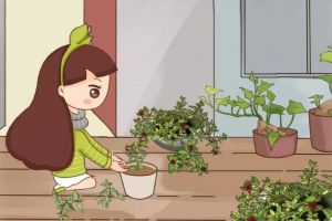 巴掌大的陽臺(tái)，種這2種菜，15天吃一茬，花200塊錢都買不到！