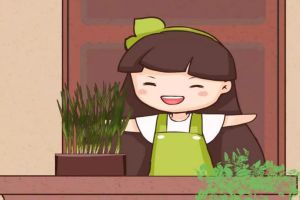 小區(qū)人人種韭菜，3天發(fā)芽，10天就能割一茬！
