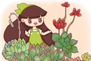 小伙把多肉養(yǎng)成手捧花，1棵上面爆30朵花頭，價(jià)格翻了200倍！
