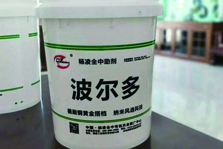 天竺葵
