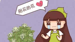 花騙子最愛賣的花，不是假花就是死苗，全是坑！
