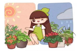 賤養(yǎng)才是王道！越勤快，花死得越快！