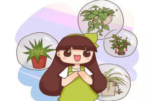 掛起來立馬變窗簾！這7種心形花，朋友圈搶瘋了！