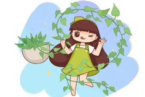 小孩最喜歡的6種花，書桌茶幾擺一盆，健康又干凈！