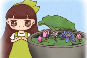 這8種花，35℃高溫還能爆滿缸！