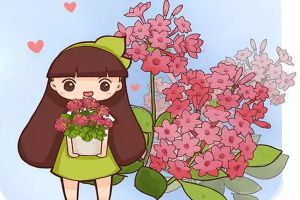 這6種花，給點光就能爆成地毯，越曬越好看！