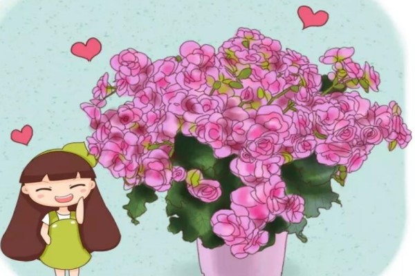 這5種花，花開(kāi)大的像包子，比歐月好看多了！