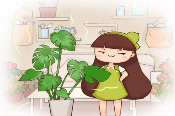 這10種吸煙花，專治二手煙，越養(yǎng)身體越健康！