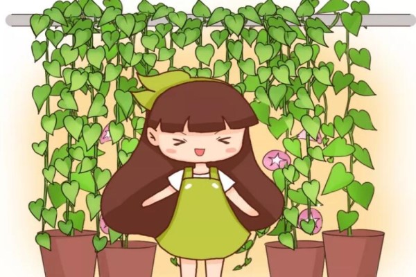 這花10天躥2米， 200平的房子都裝不下！