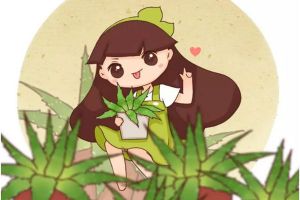 這5種花臉皮太厚，不用管就能活十幾年，還能凈化空氣！