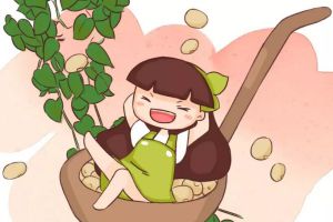 綠蘿1把豆，文竹1勺糖，1個(gè)月嗖嗖爬墻！