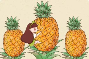 奶奶用1個(gè)吃剩的菠蘿頭，竟種出了3個(gè)大菠蘿，鄰居都羨慕死了！