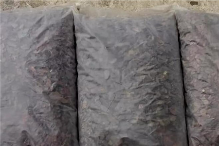 腐熟好了的松樹(shù)皮
