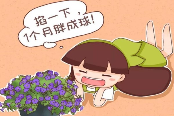 給三角梅剪幾刀，1年爆3次，各個都是大花球！
