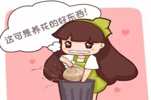 山上落葉河邊沙，隨手撿點扔花盆，葉子肥得流油！