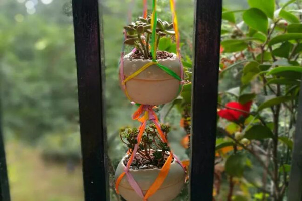 自從開始養(yǎng)花，她就得了一個怪病，瞅啥都是花盆！