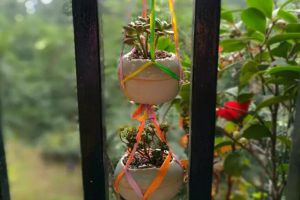 自從開始養(yǎng)花，她就得了一個怪病，瞅啥都是花盆！