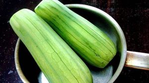 挖出來(lái)的“絲瓜瓤”還能養(yǎng)花？剪碎后埋土里，防止土壤變硬的好幫手！