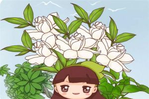 春天啥花都可以不養(yǎng)，唯獨這6種，不養(yǎng)虧大了！
