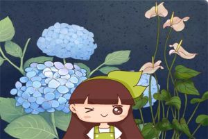 這20種花，越陰涼長(zhǎng)得越旺，越曬越容易死！