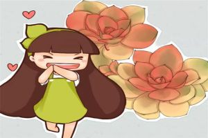 多肉就養(yǎng)這7種，放地上不用管也能呼呼長，想養(yǎng)死都難！