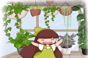 陽臺扔上這9種花，蹭蹭直冒芽，3個月長成了“瀑布”！