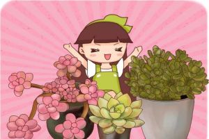 春天就養(yǎng)這18種多肉，財(cái)運(yùn)福運(yùn)桃花運(yùn)···好運(yùn)爆棚！