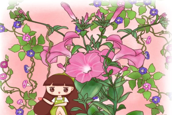 懶人救星！這6種花好看又好養(yǎng)，剛會(huì)走路的孩子都能養(yǎng)
