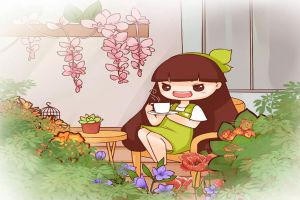 花期超長的10盆花，養(yǎng)1盆全年有花賞！
