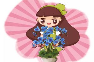 蝴蝶蘭開完花就扔？真傻！像我這么養(yǎng)，年年冬天都能開！