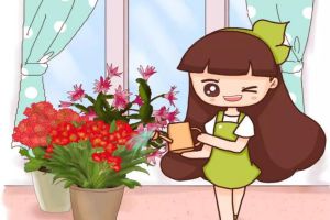 給花澆點神仙水，3天黃葉變綠葉，根壯好過冬！