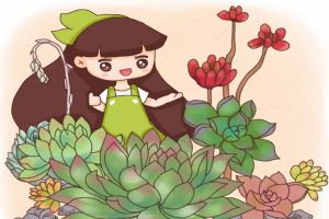 最難養(yǎng)死的10種多肉，誰能養(yǎng)死，我就服誰！
