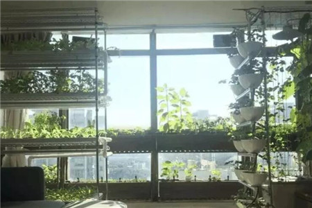 種菜第一步，空間利用