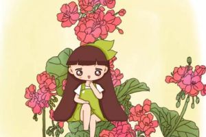 這花掛墻上就開(kāi)成瀑布，掐點(diǎn)泡水，一年都不生病！