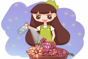 多肉也要貼秋膘，盆里埋點(diǎn)料，一個(gè)月胖成球！