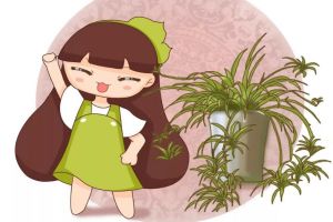 奶奶用雞蛋養(yǎng)吊蘭，連抽60個芽，長滿蘿卜根！