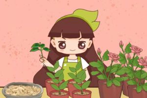 木頭渣子竟是養(yǎng)花寶貝？養(yǎng)花大神就靠它，把花1盆變100盆！