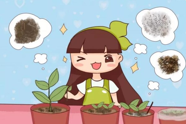 這4種花，現(xiàn)在扦插100%活，錯過再等一年！