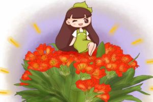 他的君子蘭年年開花，連結(jié)10個(gè)果，到底咋養(yǎng)的？