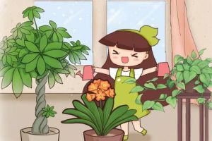 茉莉長壽爆盆10年，全靠這句話，不知道虧大了！