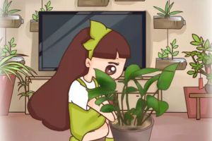 枕頭里掏出一把芯，扔花盆里，綠蘿吊蘭長(zhǎng)瘋了！