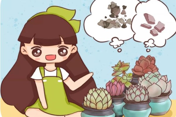 這些偏方無敵了，養(yǎng)啥都旺，1分錢不花！