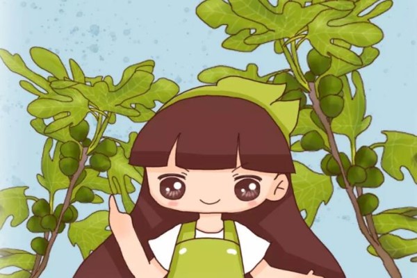 無(wú)花果套瓶里，1棵掛滿5斤果，3個(gè)月吃不完！