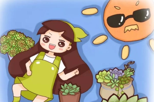 立秋這么曬太陽，怪不得多肉曬一盆死一盆！
