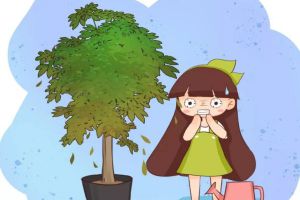 秋老虎來了，做了這些傻事兒，你的花立馬死翹翹！