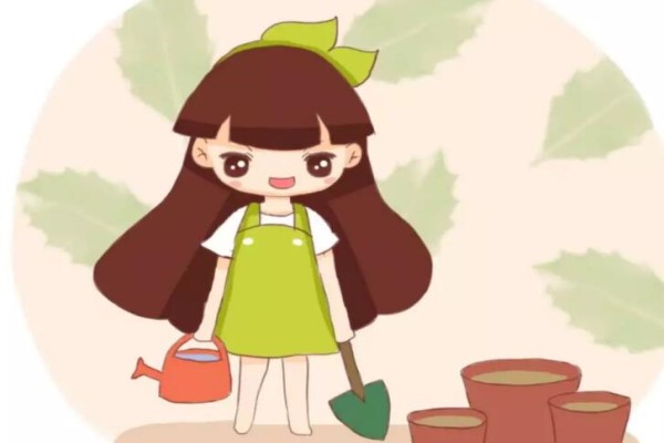 入秋后趕緊撒把種子，一開一大片，滿陽臺擠不下！