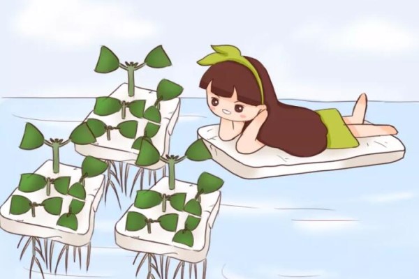 掐根枝沾點(diǎn)水，大白根蹭蹭長(zhǎng)，這花太好養(yǎng)了！